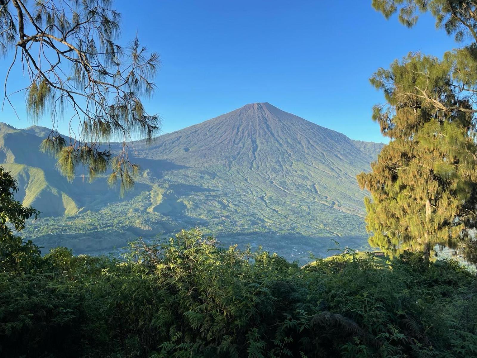 Avocado Homestay Тетебату Экстерьер фото