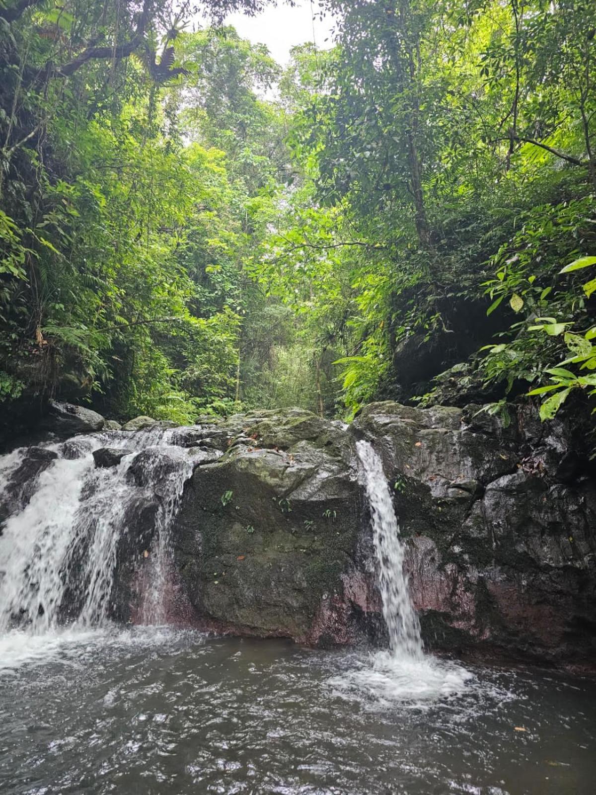Avocado Homestay Тетебату Экстерьер фото