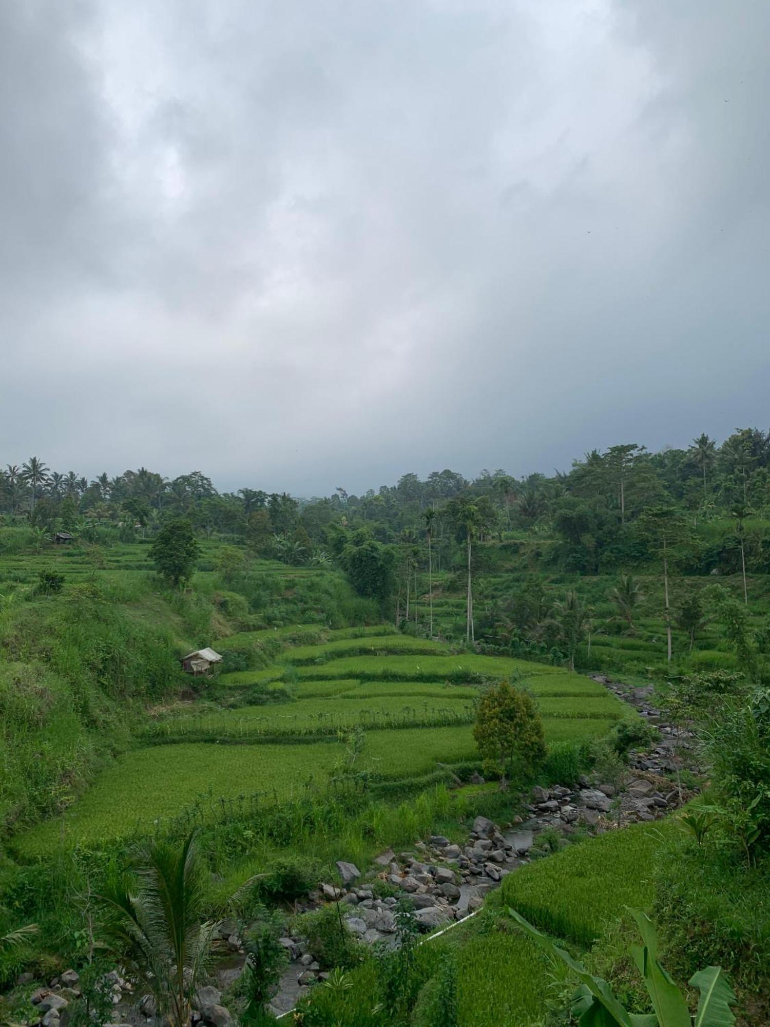 Avocado Homestay Тетебату Экстерьер фото